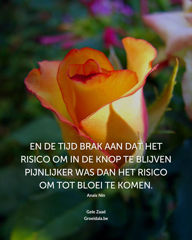 Groeidala_Tzolkin_Gele_Zaad_10_web