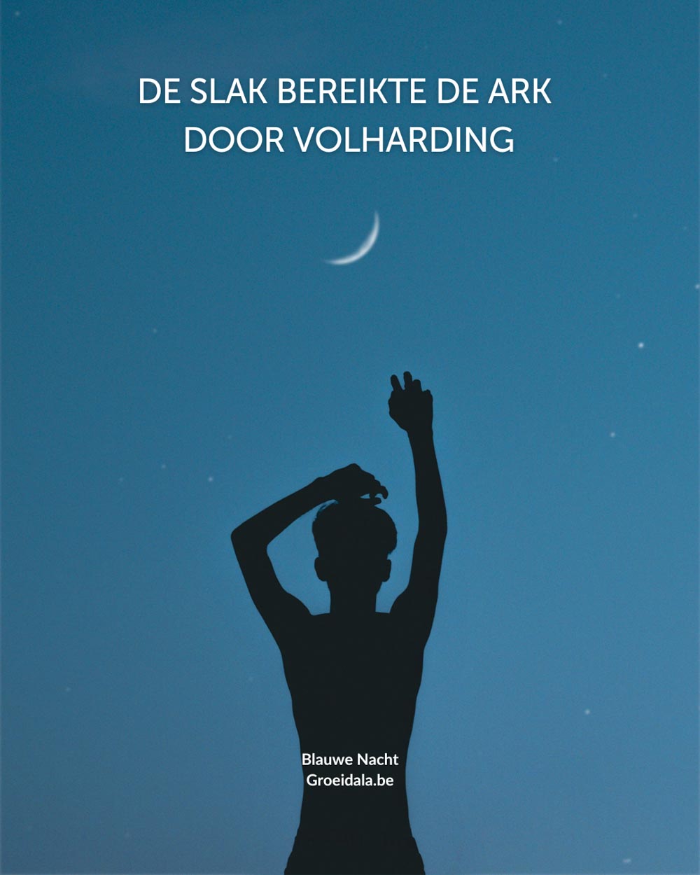Groeidala_Tzolkin_Blauwe_Nacht_golf_maya_11_web