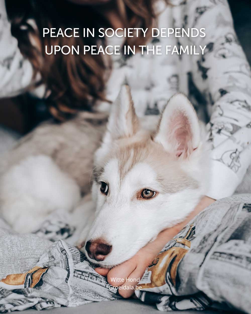 Groeidala_Tzolkin_Witte_Hond_8_web