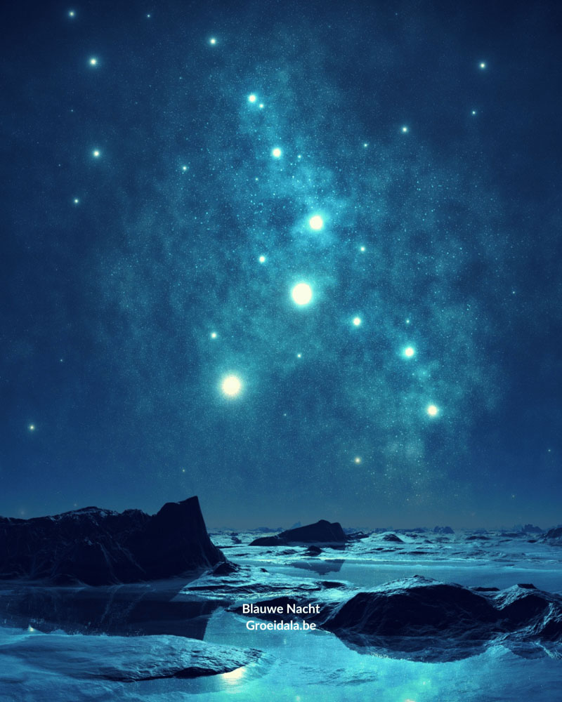 Groeidala 1080 x 1350 IG posts BLAUWE NACHT - 15