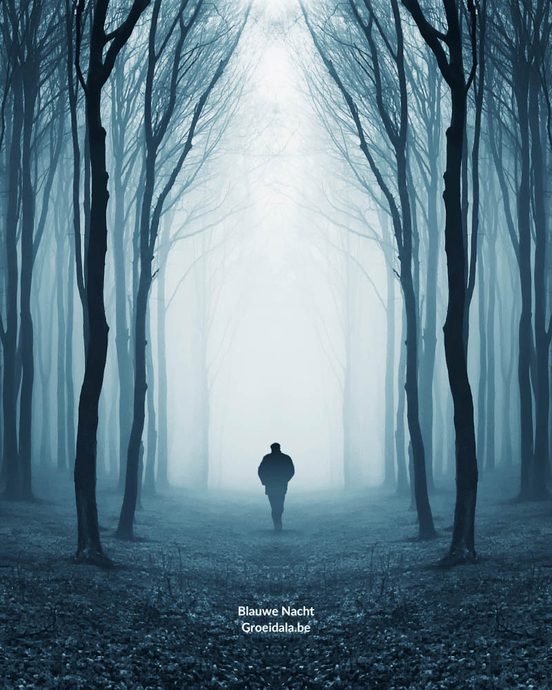 Groeidala 1080 x 1350 IG posts BLAUWE NACHT - 3