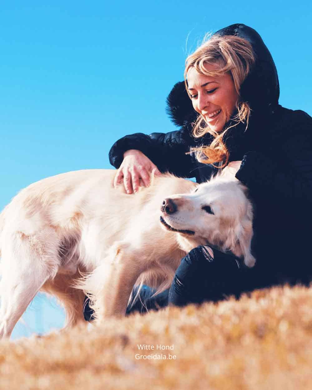 Groeidala witte hond Golf Tzolkin Maya astrologie