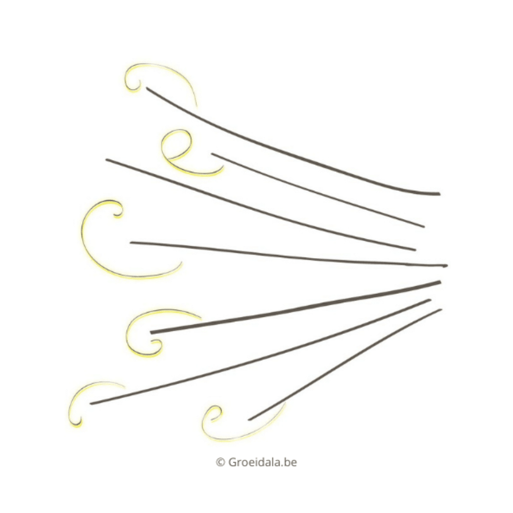 Groeidala Tzolkin Witte Wind Golf Maya astrologie